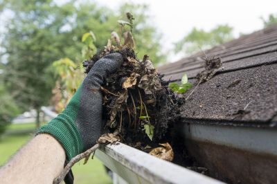 DIY Gutter Cleaning Tips